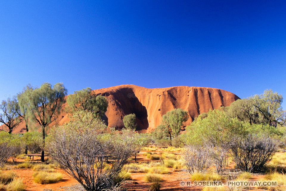 Habitat des Tribus aborigènes Australie