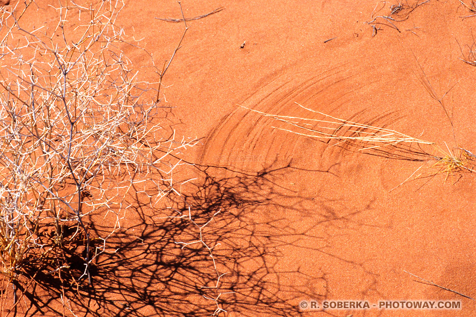 sable rouge désert Australie