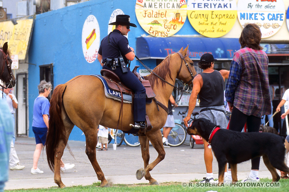 Photos de la Police Montée : Photo de la Police de Venice Beach en Californie