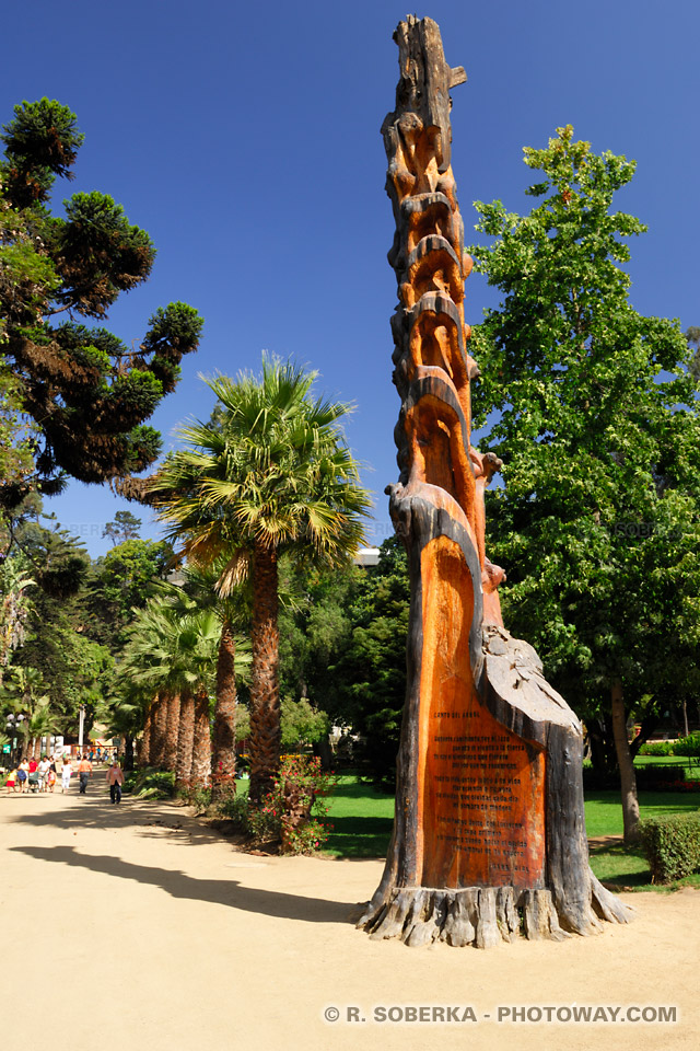 arbre sculpté