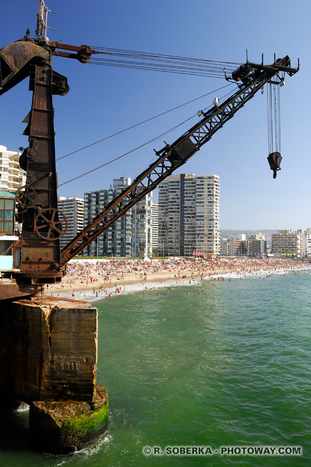 Grue rouillée à Viña del Mar au Chili