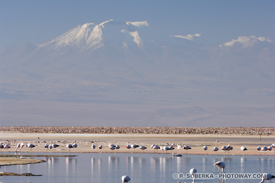 Images du Salar de l'Atacama, photos de paysages du Chili