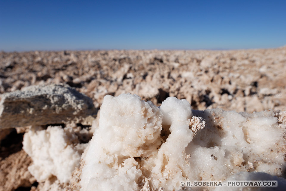 minéraux photo de sel et autres minéraux tels le lithium
