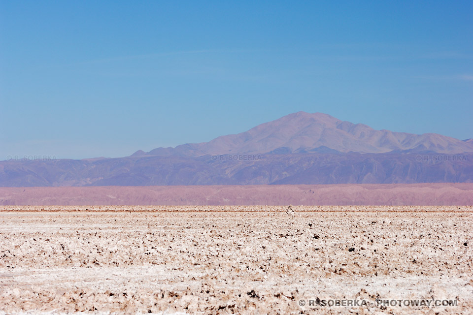 Salar d'Atacama photo du désert de sel au Chili