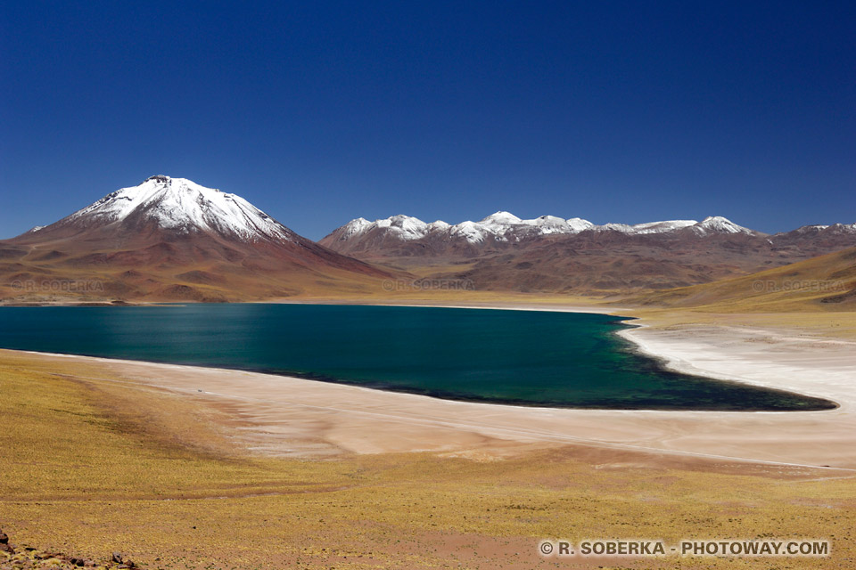 Lagune Miscanti - Cordillère des Andes