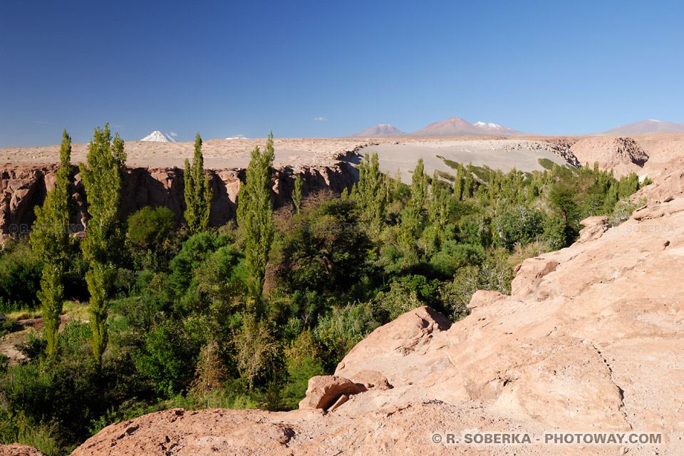 Quebrada de Jerez de Toconao au Chili