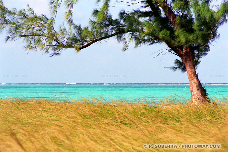 image Photos de la côte Atlantique de Cuba photo barrière de corail à Cuba