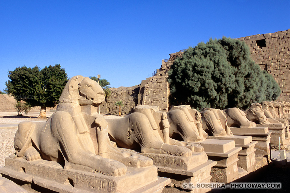 Image du Sphinx images allée de Sphinx photos de Karnak en Egypte