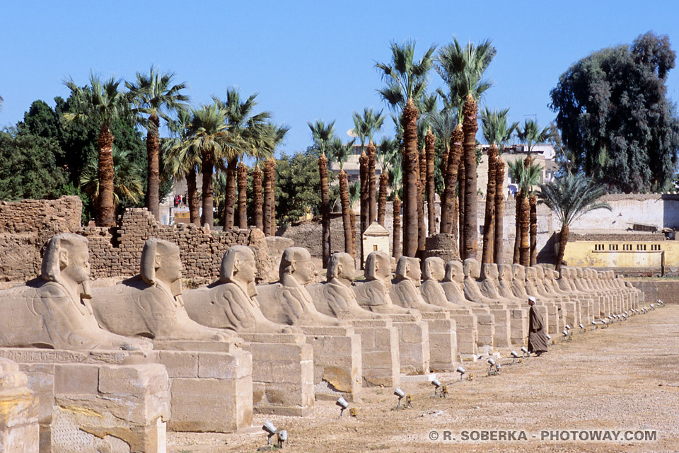 Photos de l'allée de Sphinx photo du temple de Louxor voyage en Egypte