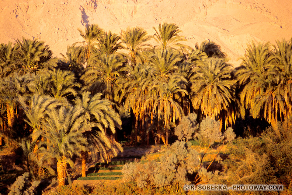 Photos de croisière sur le Nil photo de vacances en Egypte