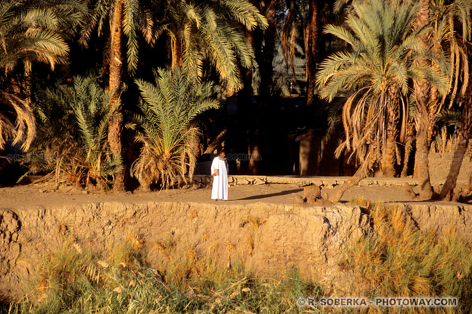 Photos d'égyptiens au bord du Nil photo guide touristique en Egypte