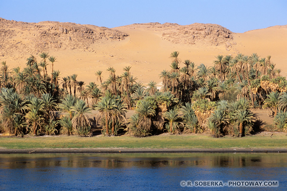 Fond d'écran du Nil en Egypte fonds d'écran dunes et palmiers