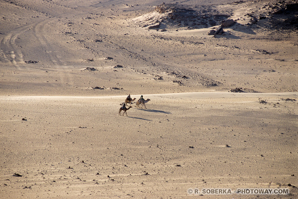 Photos desert egyptien images photo guide de voyage en Egypte