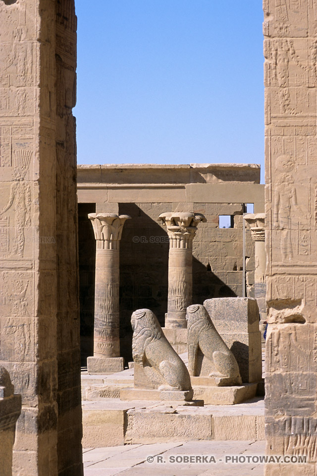 Photos des statues de lions photo de statues du temple de Philae en Egypte