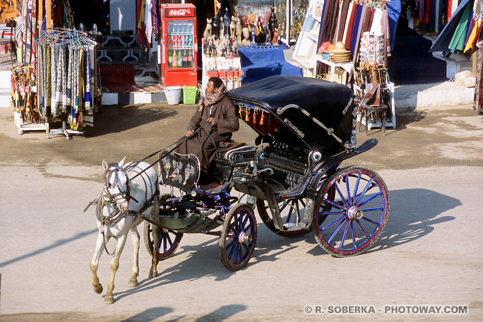 Image de transports en Egypte photos de calèches photo Louxor