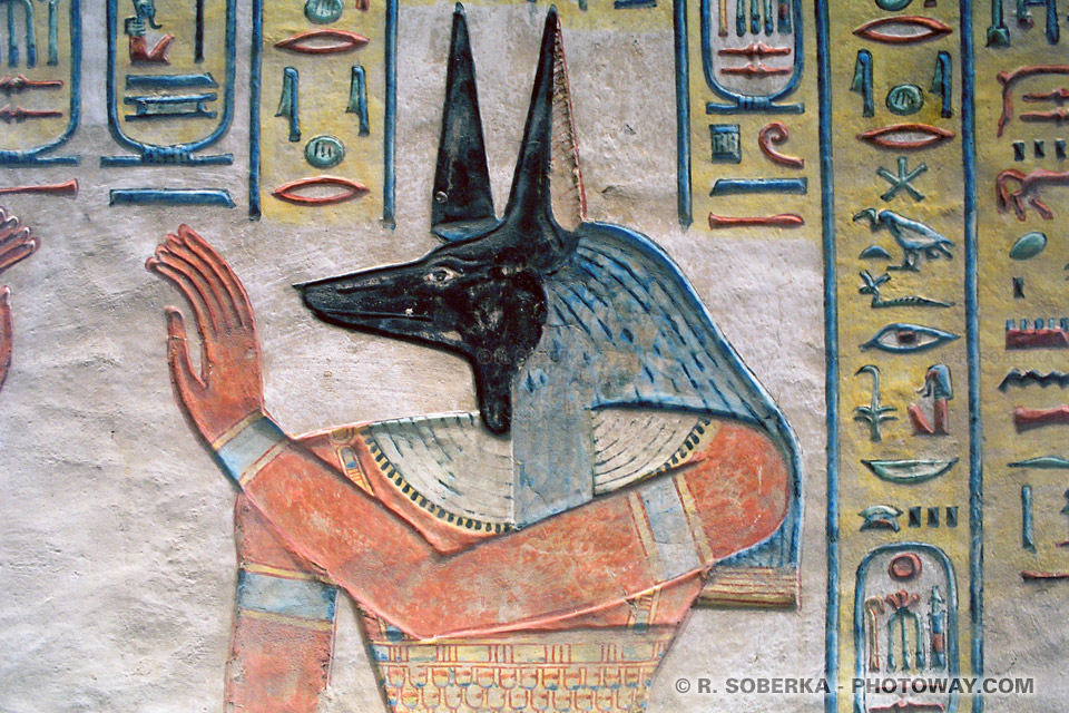 image Photos d'Anubis photo du dieu égyptien Anubis images en Egypte