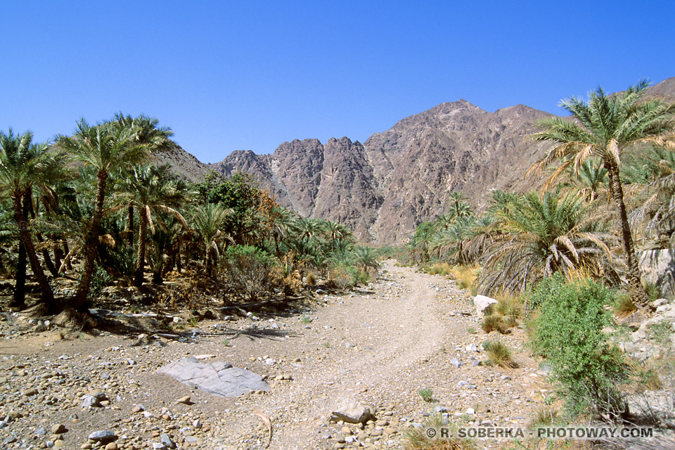 Image Photos d'enclaves photo de l'enclave territoriale de Madha Oman