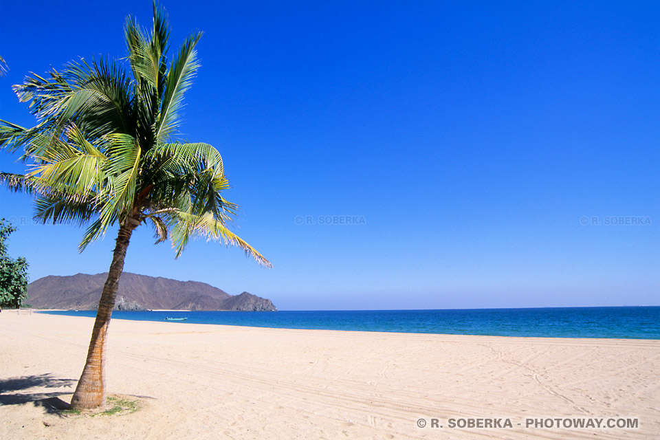 Image Photo d'une belle plage photos de Khor Fakkan Emirats Arabes Unis