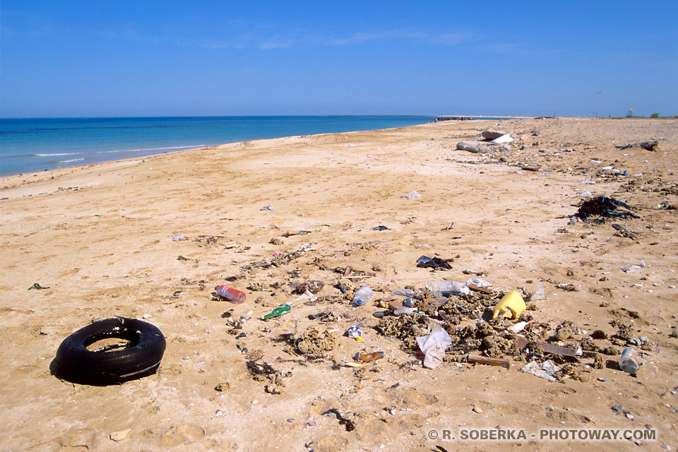 Photos de pollution photo d'une plage polluée photos de détritus