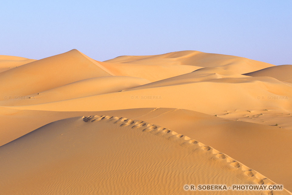 Image Marche à pied dans le désert photo trace de pas dans sable du désert