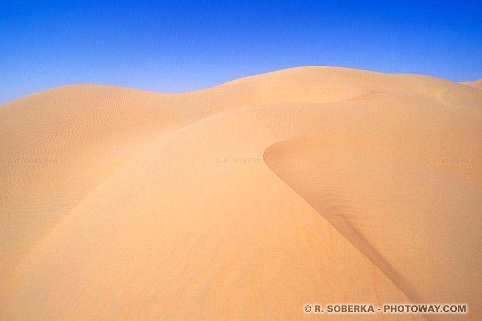 Image dune images de dunes dans le désert des Emirats Arabes