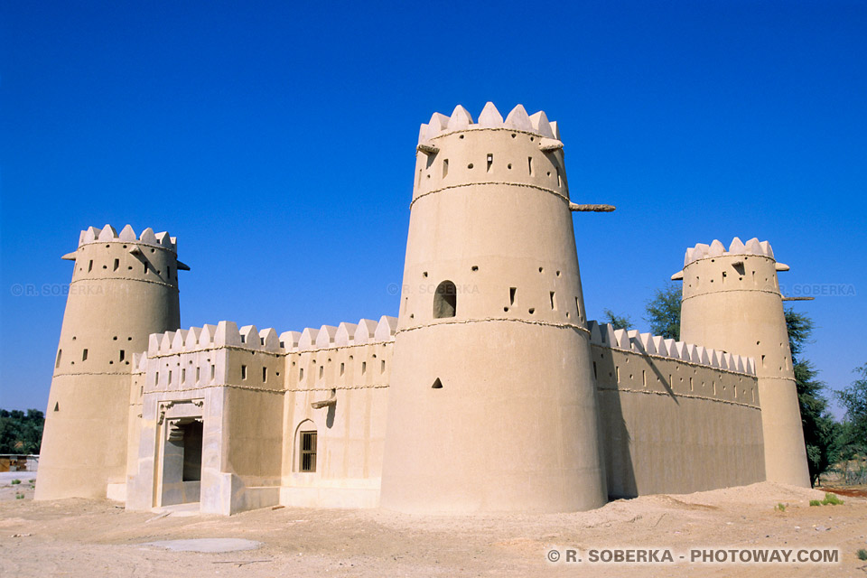 Image Photo fort arabe dans le désert photos de forts arabes Liwa oasis