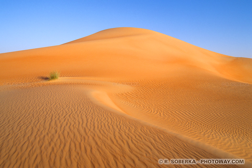 Image photo de sable dans le désert arabe photos des sables de dunes