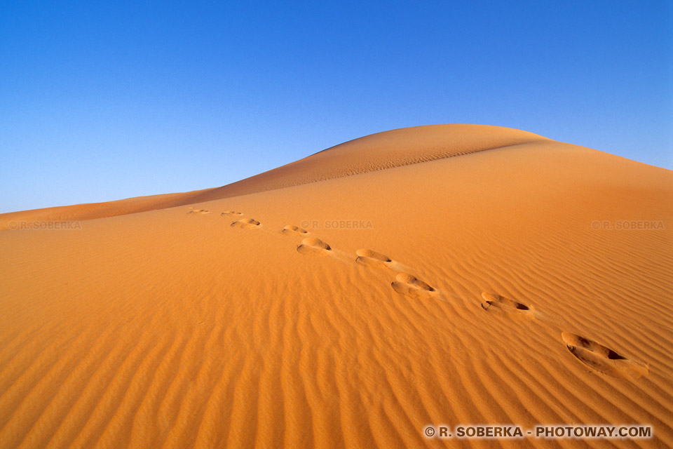 Image des traces de pas dans le sable d'une dune du désert