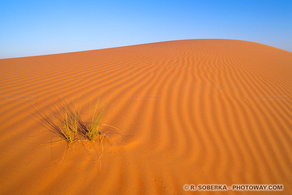 Photos de dunes au soleil couchant photo du désert des Emirats