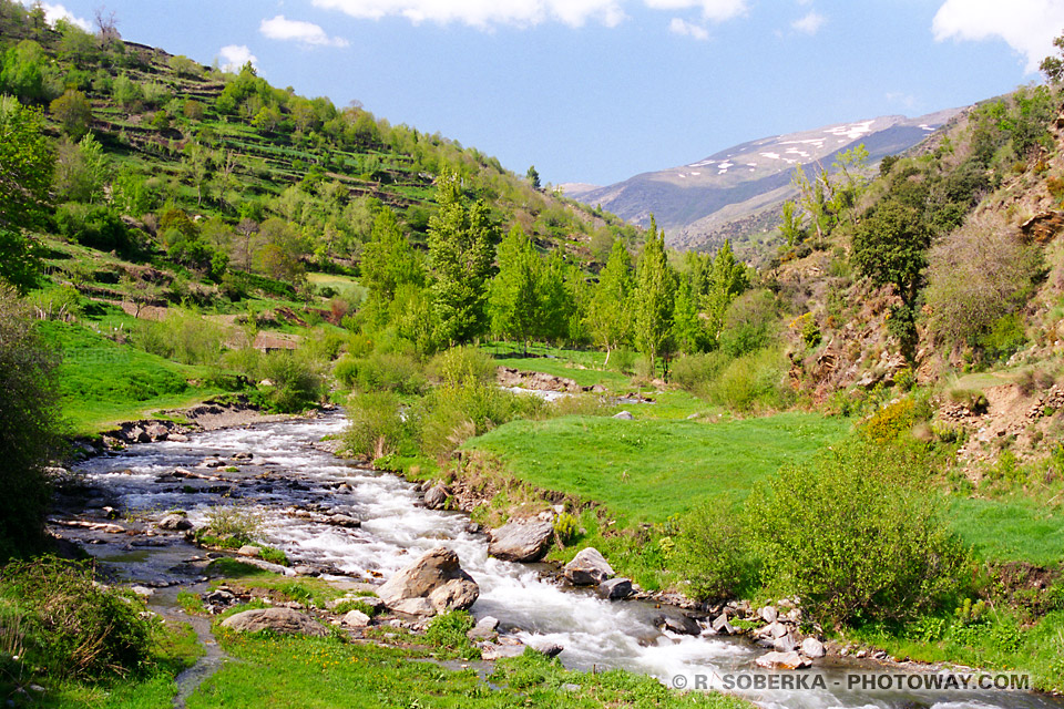 montagnes sierra nevada