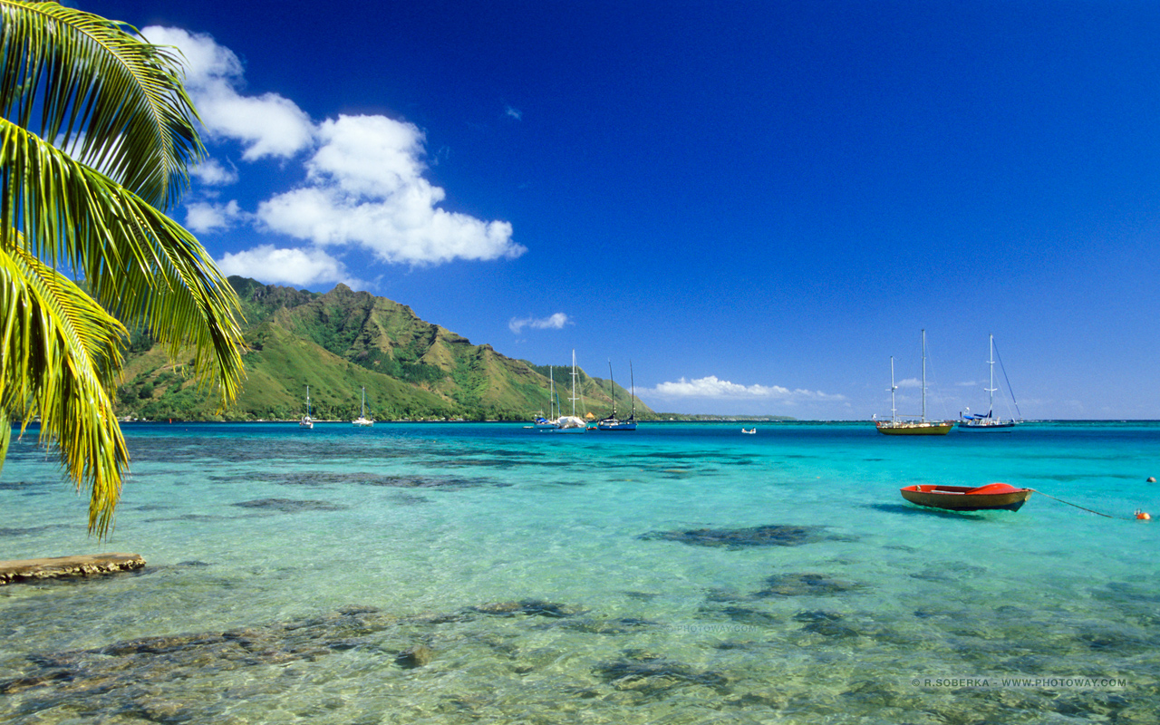 Fonds Décran Lagon Wallpaper Lagons De Moorea En Polynésie