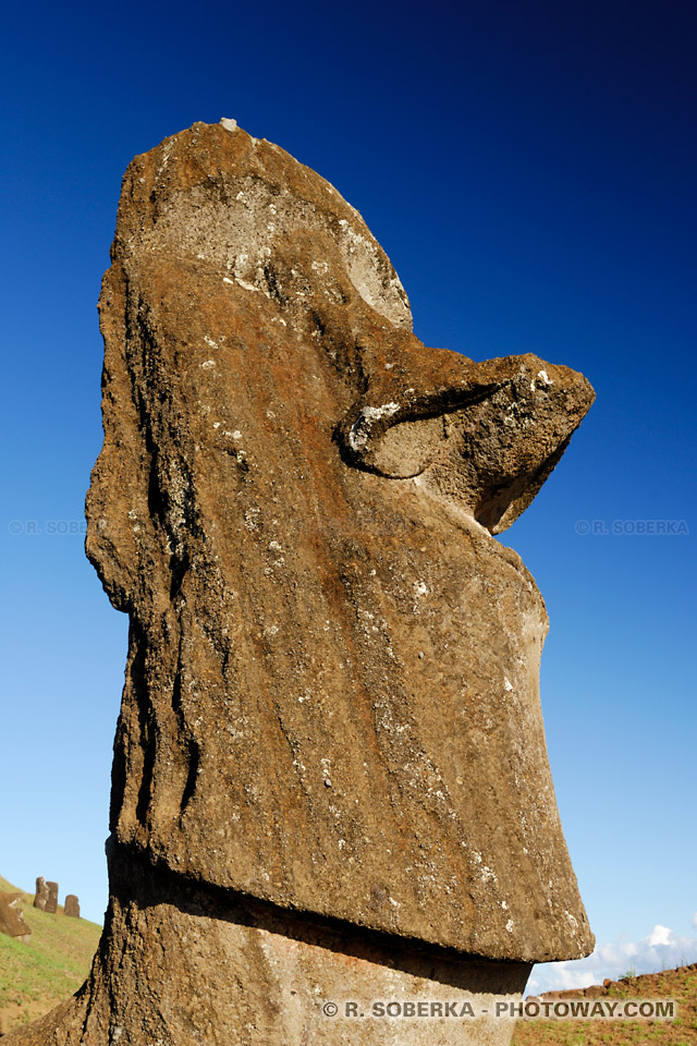 Photo de la tête d'un Moaï, photothèque île de Pâques