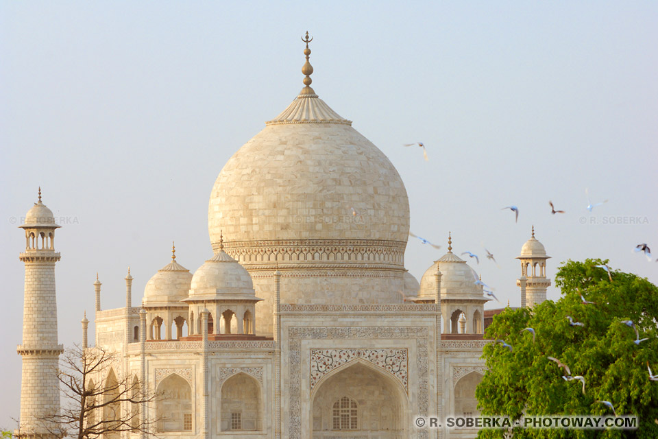 Photos du Taj Mahal, photothèque du Taj Mahal