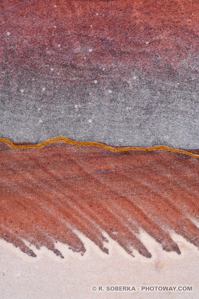 Photos d'une oeuvre d'art créée par dame nature 