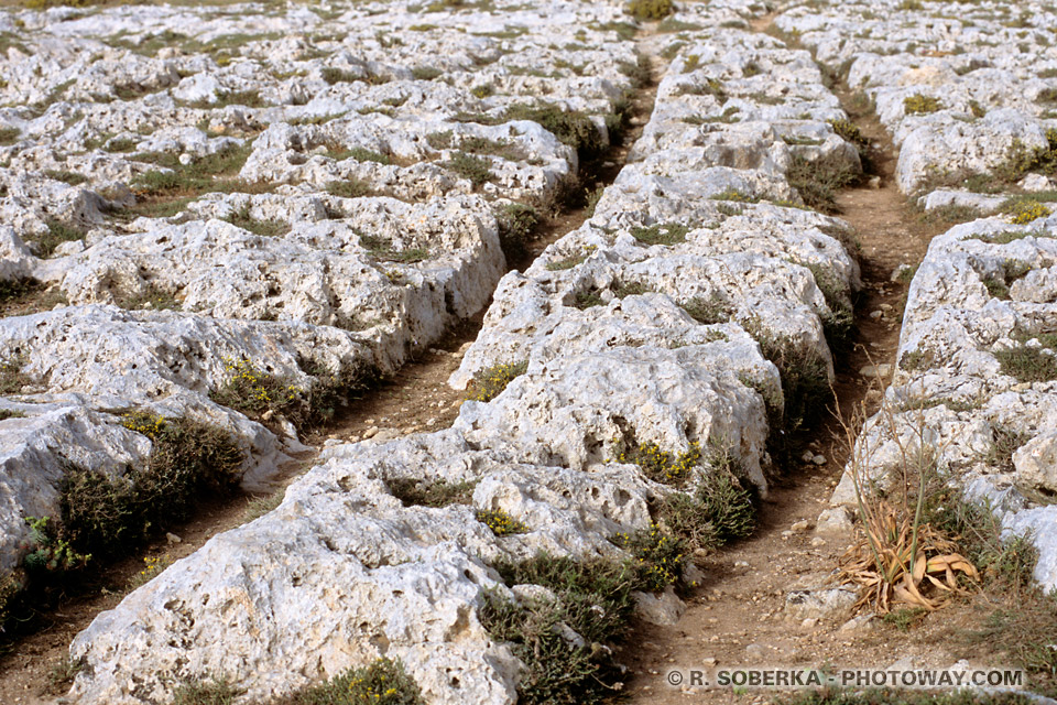 Photos des Cart Ruts photo de sillions dans la pierre à Malte