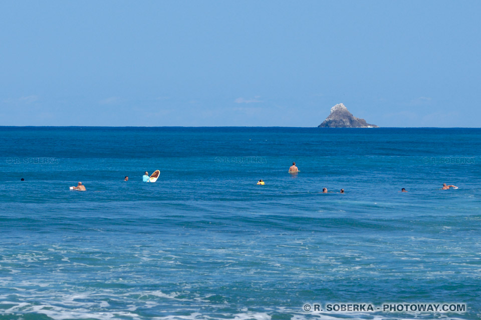 spots de surf Martinique