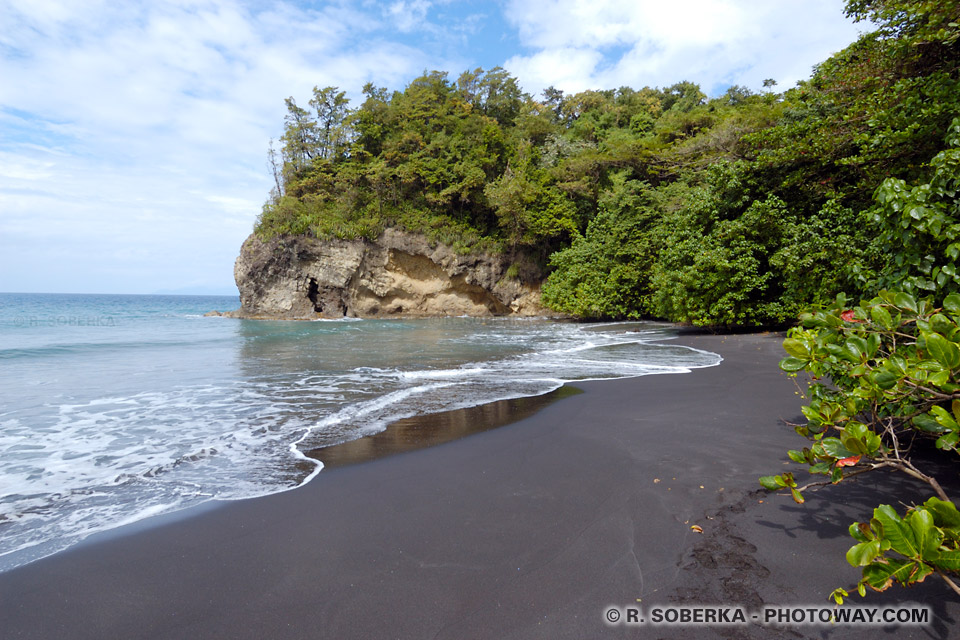 coin de paradis sauvage photos Anse Lévrier en Martinique