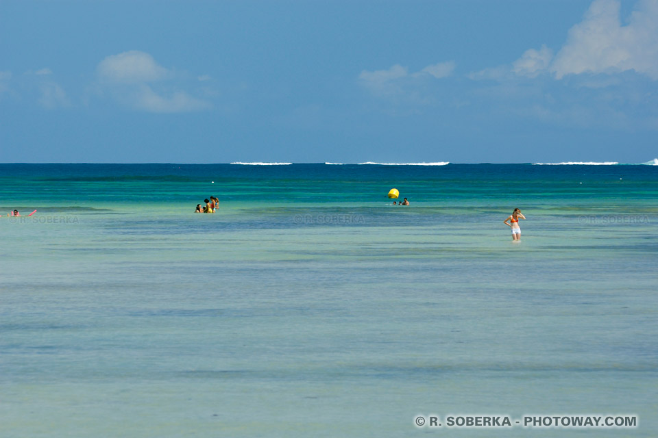 barrière de corail