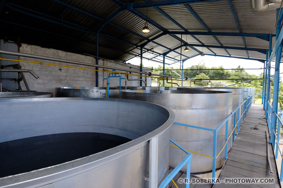 cuves de fermentation rhum