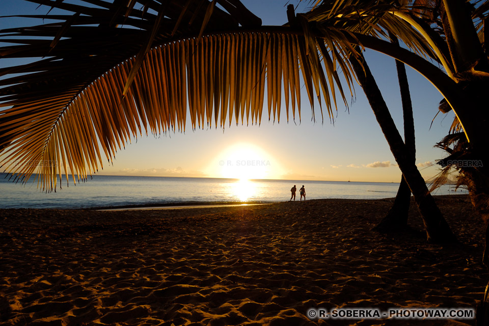 coucher de soleil plage des Salines en Martinique