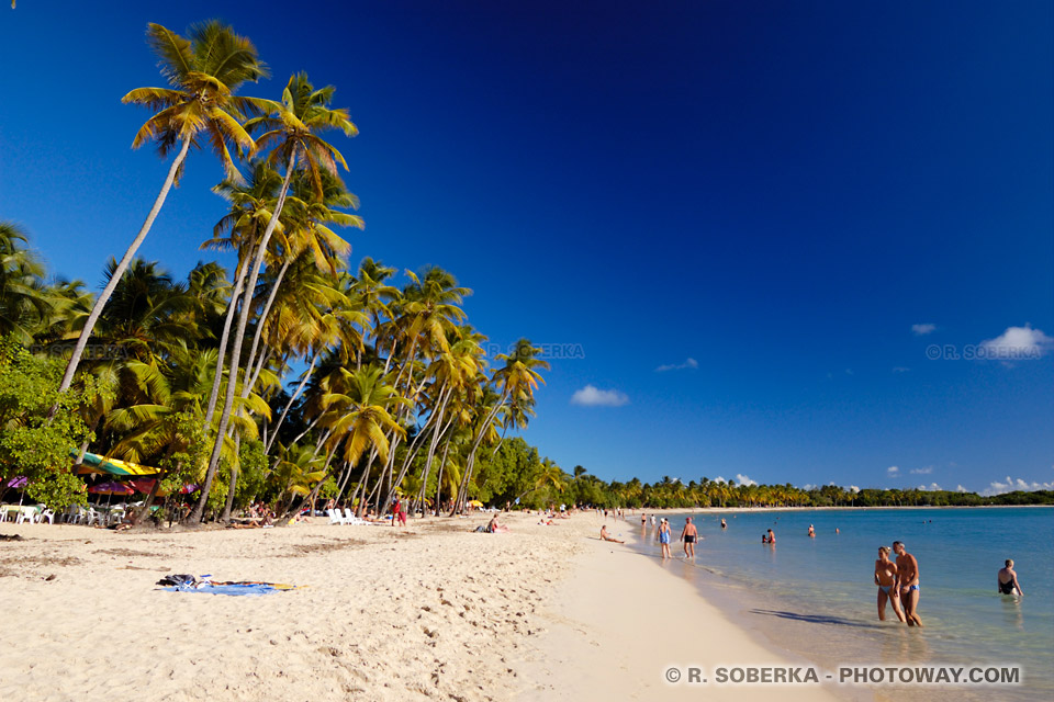 plage des Salines Martinique