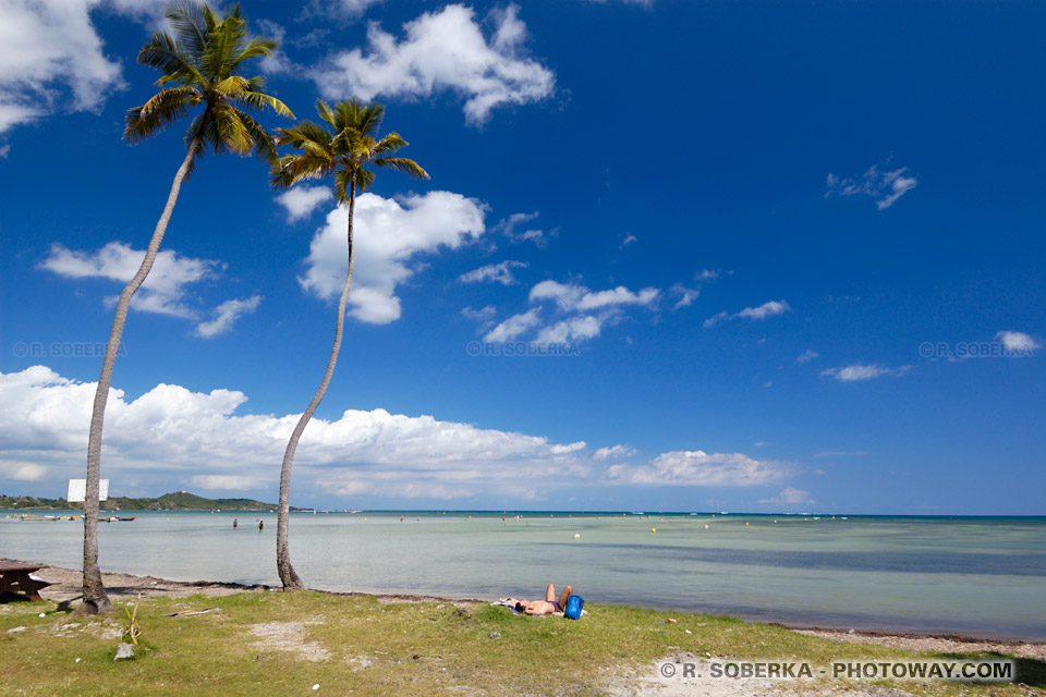 Pointe Faula photo de vacances Pointe Faula en Martinique