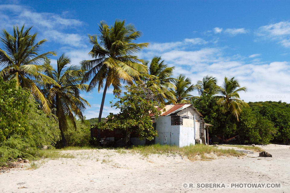 cabane de Robinson Crusoe