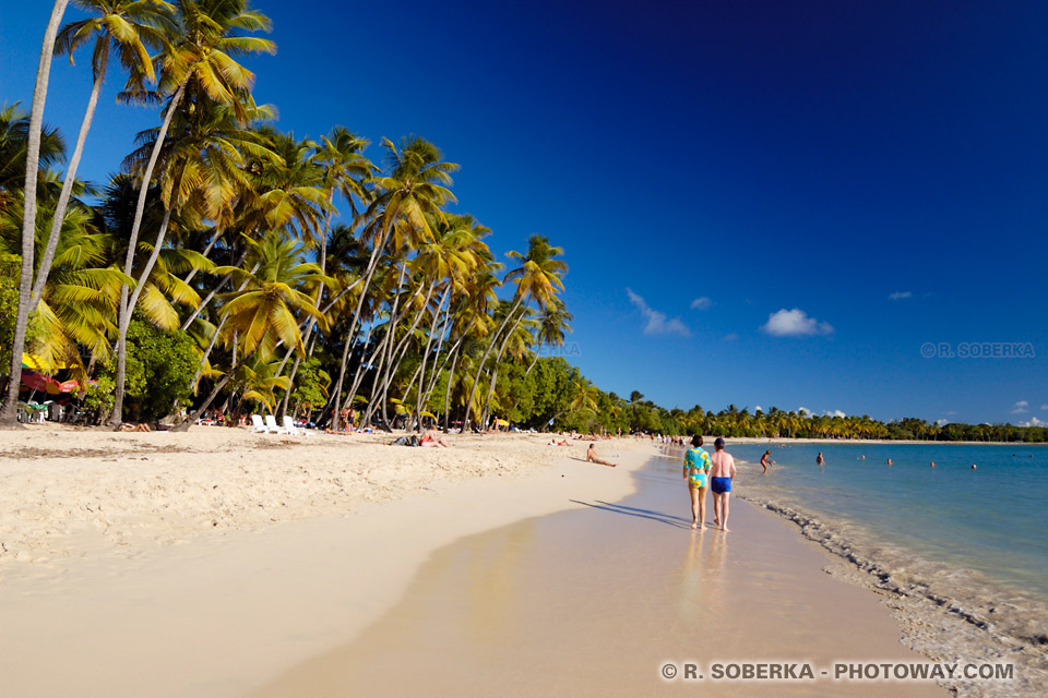 Plage des Salines Martinique