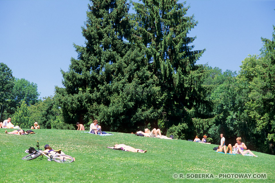 Image Photo de Central Park guide touristique photo à New York Manhattan