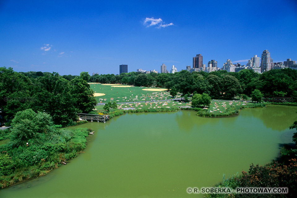 Visite du Central Park informations sur Central Park de New York