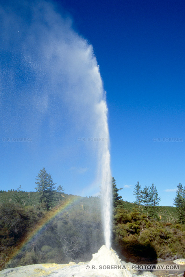 Photos du Geyser Lady Knox : Photo du parc thermal Wai-O-Tapu