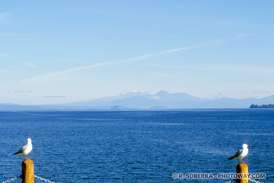 Photos du Lac Taupo : Photo du plus grand des lacs de Nouvelle-Zélande