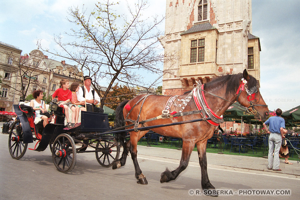 image Photo d'une calèche photos de toursites en vacances à Cracovie Pologne