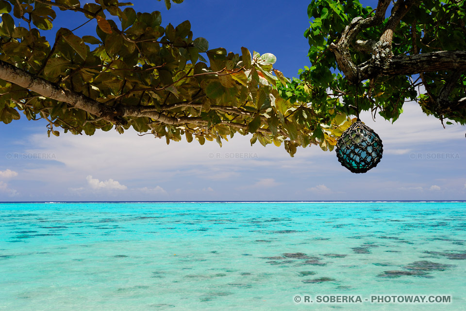 Images et Photos du lagon de Moorea en Polynésie photothèque Tahiti